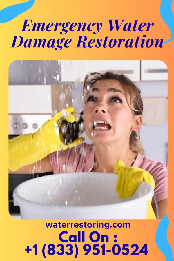 Emergency Water Damage Restoration in Challis, ID